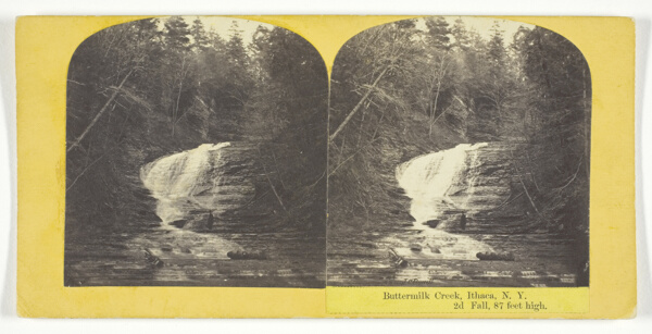 Buttermilk Creek, Ithaca, N.Y. 2d Fall, 87 feet high