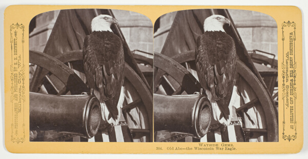 Old Abe - the Wisconsin War Eagle, No. 304 from the series 