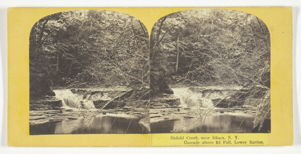 Enfield Creek, near Ithaca, N.Y. Cascade above 2d Fall, Lower Ravine