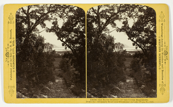 Down the old Quarry Road near Frontenac on Lake Pepin, , No. 1545 from the series 