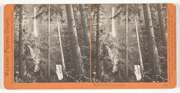 Multnomah Falls, Columbia River, No. 1239 from the series 