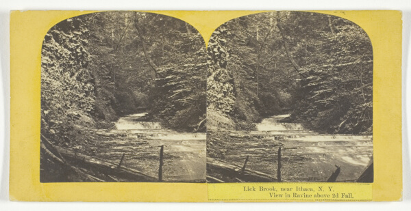 Lick Brook, near Ithaca, N.Y. View in Ravine above 2d Fall