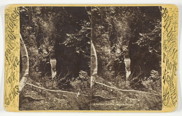 Ausable Chasm - Mystic Gorge, from the series 