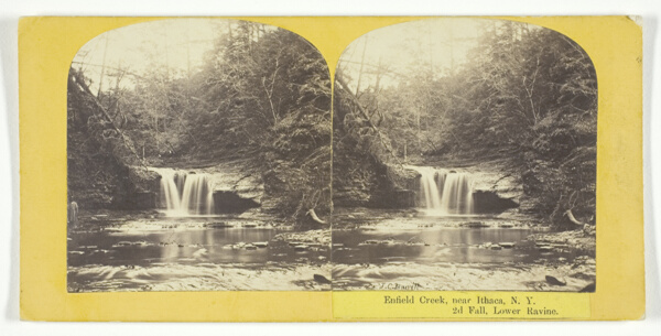 Enfield Creek, near Ithaca, N.Y. 2d Fall, Lower Ravine