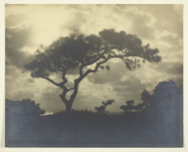 Untitled (Cloudy Landscape with Tree)