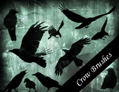 Crow Brushes