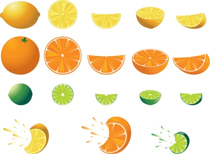 Free Citrus Fruit Vector