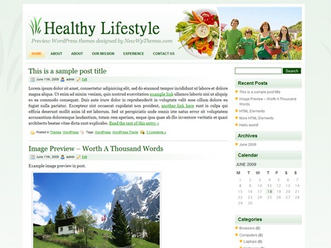 Free WordPress Theme – Healthy Lifestyle Preview